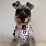 Ziggy's Secret Garden Design Dog Collar