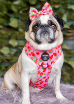 Strawberry Patch Design Dog Harness