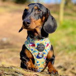Surf's Up!- Dog Harness