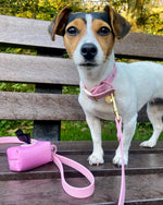 Candy floss Pink 'All Weather' Dog Lead