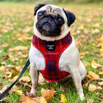 'Sammi' - Red & Grey Check Dog Harness