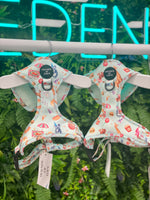 CIRCUS PUP - Dog Harness