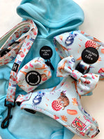 CIRCUS PUP - Dog Harness