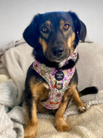 Wild Blossom- Design Dog Harness