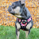Supaw Strong™ 'Florentina' Utility Harness