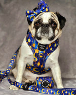 Arabian Nights - Blue and Gold Dog Harness