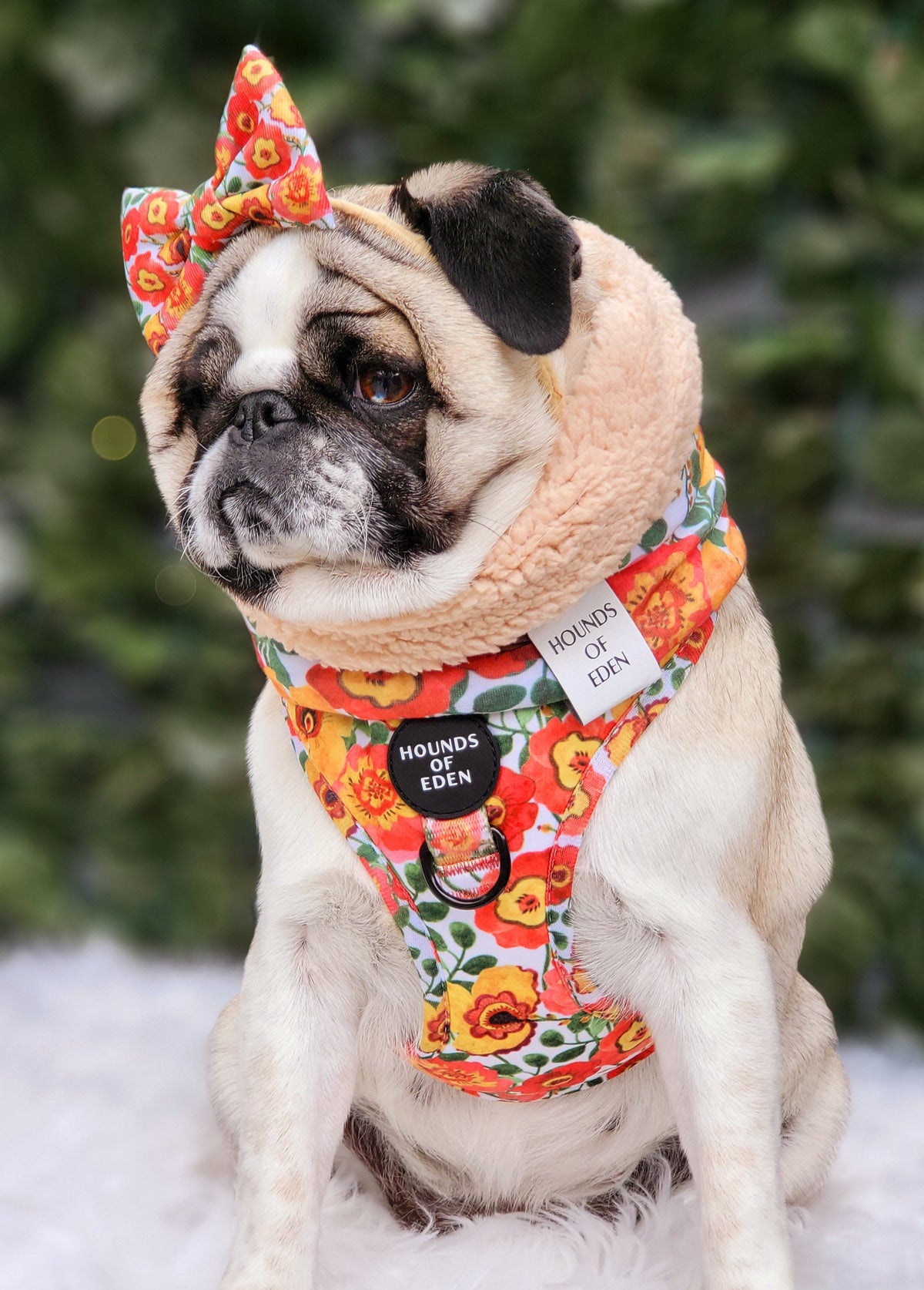 Autumn Blossom Faux Sherpa Fleece Dog Snood