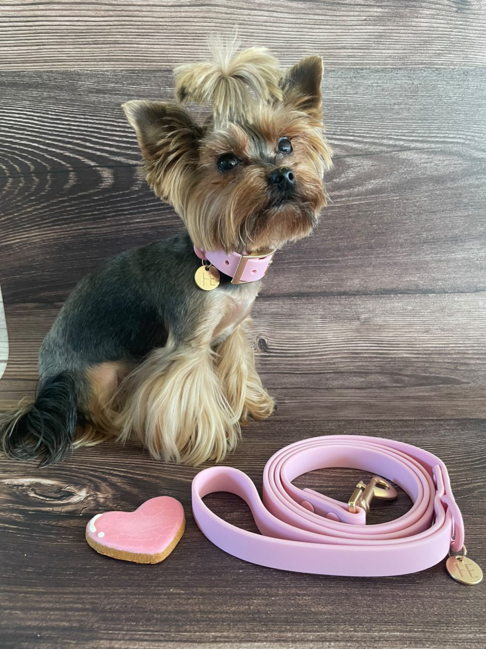Candy floss Pink 'All Weather' Dog Lead