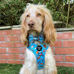 Grill 'n' Chill - Dog Harness