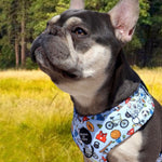 PUPTHLETICS - Dog Harness