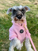 Soft Cotton Blend Dog Hoodie Light Teal