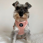 Peach Schnapps - Pink Corduroy Harness