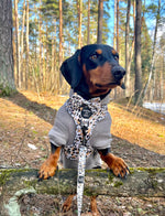 Soft Cotton Blend Dog Hoodie Black