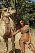 Marko Two-Piece Ruffled Push-Up Brazilian Bikini Set brown