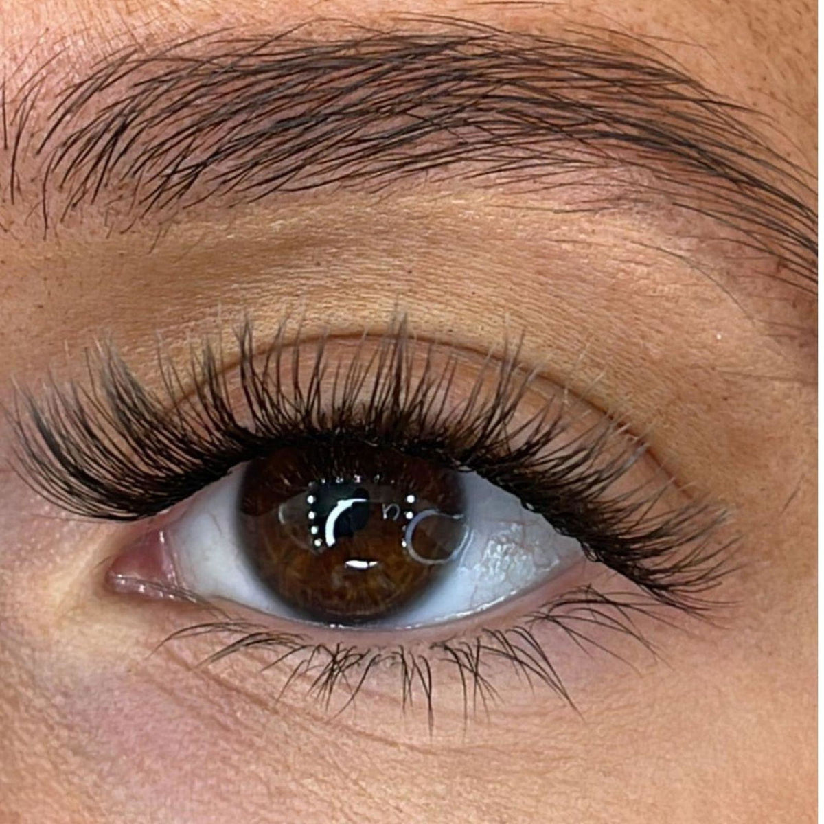 Maya - Weightless 'C' Curl Pre-Cut Lash Ribbons®