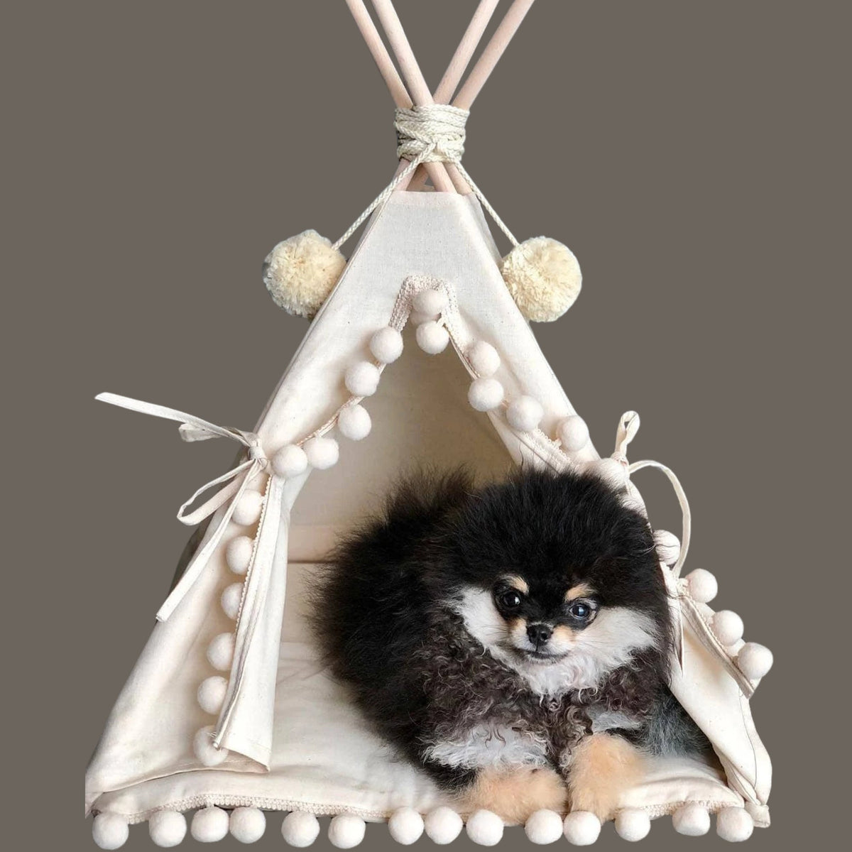 MINICAMP Guinea Pig Bed Teepee, Chinchilla Bed, Small Pet Bed – Sizes 2XS, 3XS, 4XS Ecru 2XS