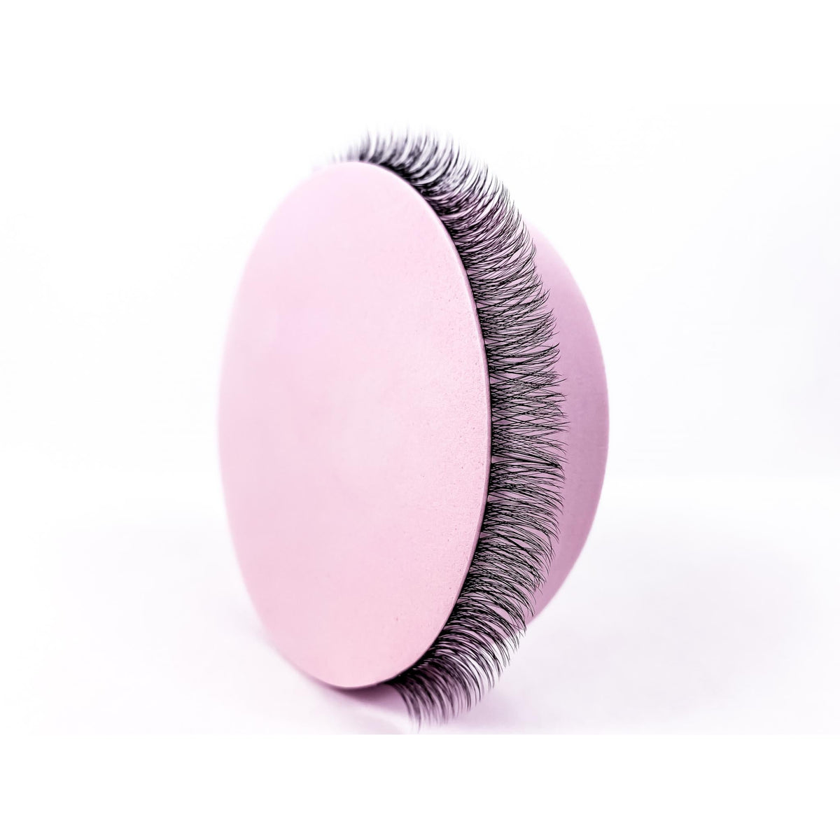 Moira - 3D 'D' Curl Lash Ribbons®