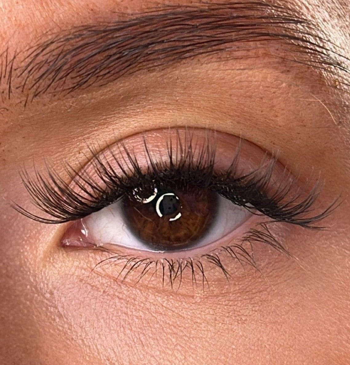 Moira - 3D 'D' Curl Lash Ribbons®