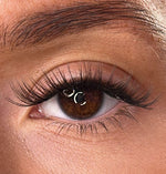 Moira - 3D 'D' Curl Lash Ribbons®