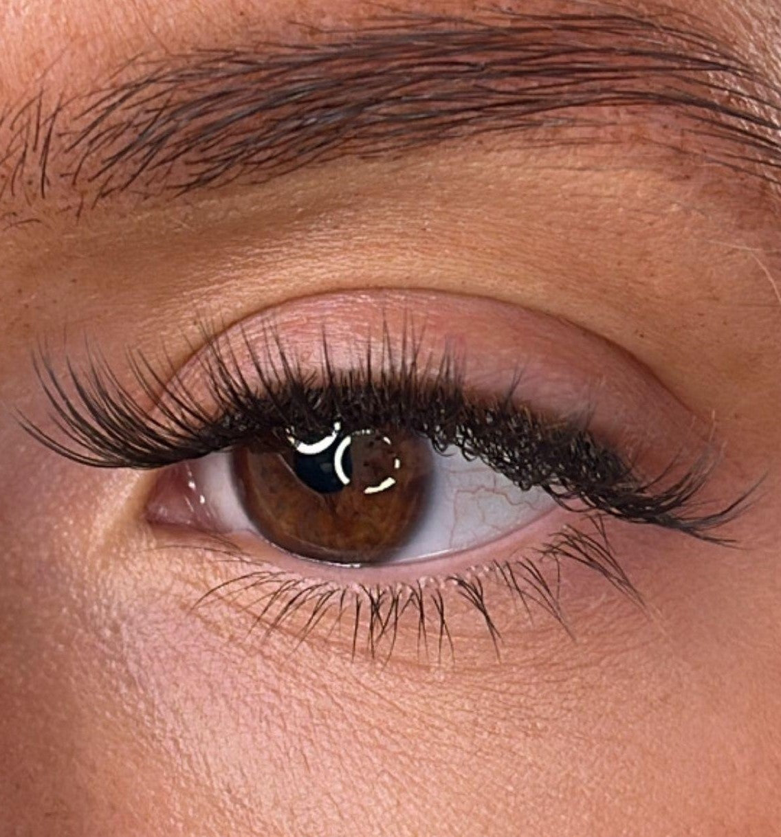 Moira - 3D 'D' Curl Lash Ribbons®