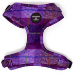 'Molly' - Pink & Purple Check Dog Harness