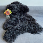 Natural Black Icelandic Shorn 50mm Sheepskin Hide | Luxury Sheep Skin