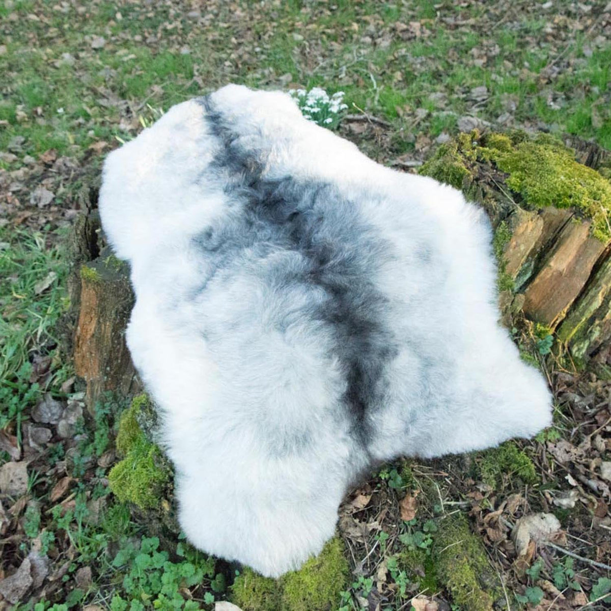 Natural Grey Icelandic Shorn 50mm Sheepskin Hide | Luxury Sheep Skin