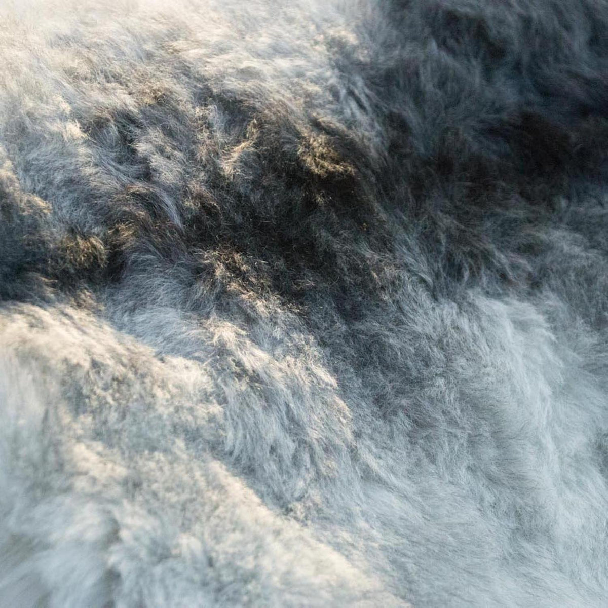 Natural Grey Icelandic Shorn 50mm Sheepskin Hide | Luxury Sheep Skin