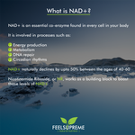 NR with Astaxanthin | NAD+ Booster 60 Capsules