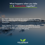 NR with Astaxanthin | NAD+ Booster 60 Capsules
