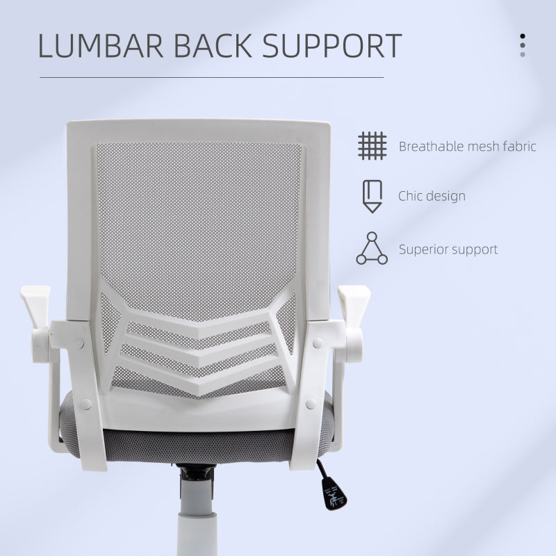 Office Chair, Gaming chair Ergonomic Desk Chair with Flip-up Arm and Lumbar Back Support for Home, Grey