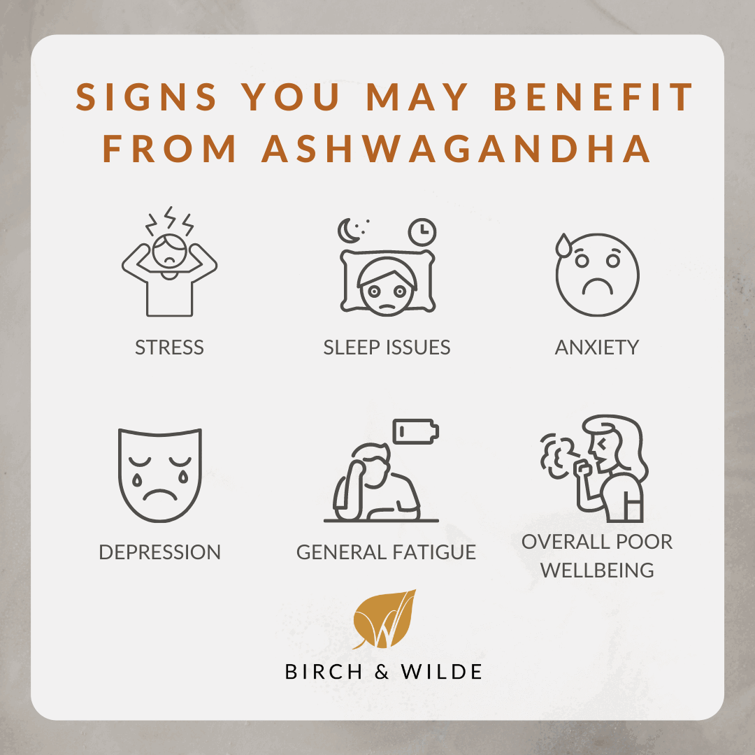 Organic Ashwagandha KSM-66 Capsules | 600mg dose | Bottle or Refill pouch