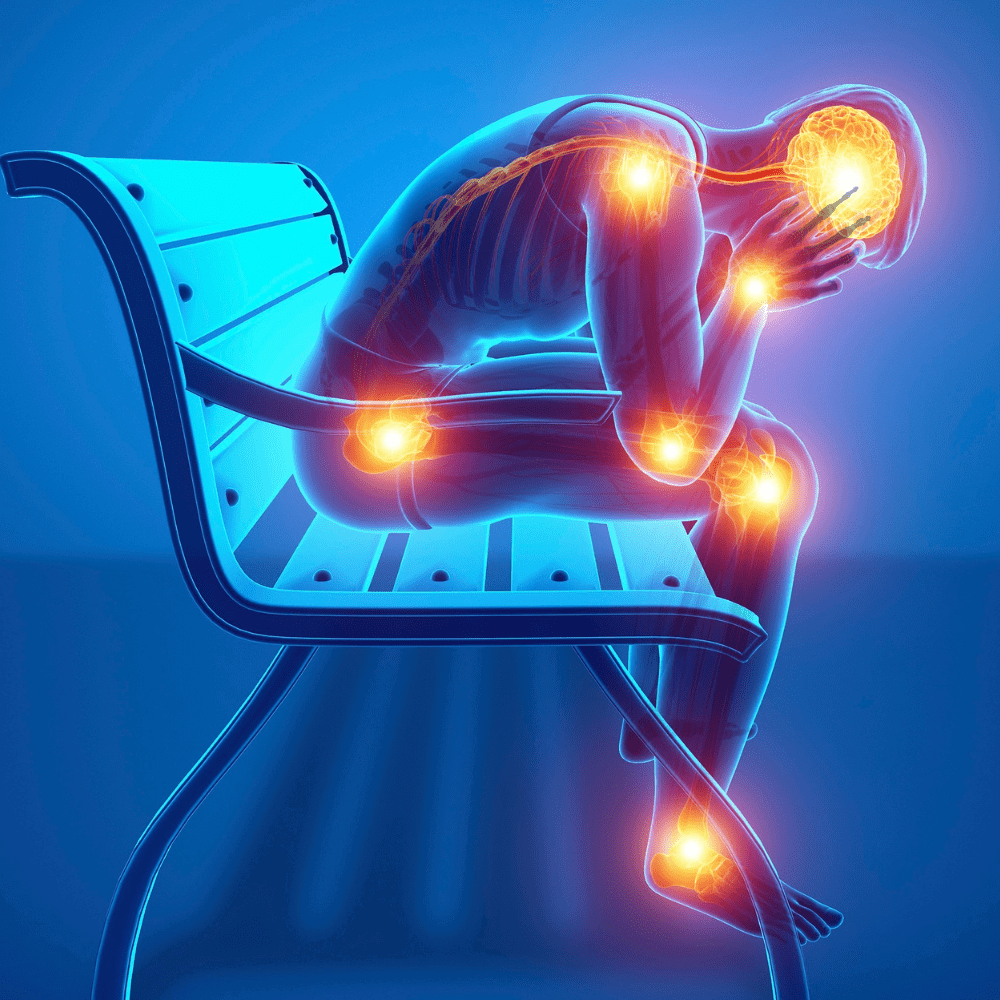 Organic Vegan Turmeric Curcumin & Ginger Supplement with Black Pepper in Plastic Free Biodegradable Tub