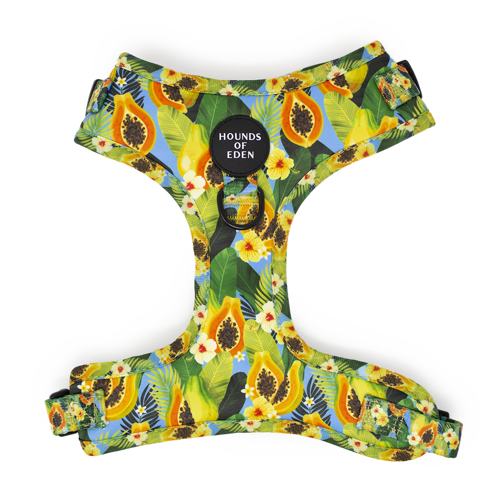 Pupaya Design Dog Collar