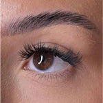 Premium Christmas Collection Limited Edition Starter Kit