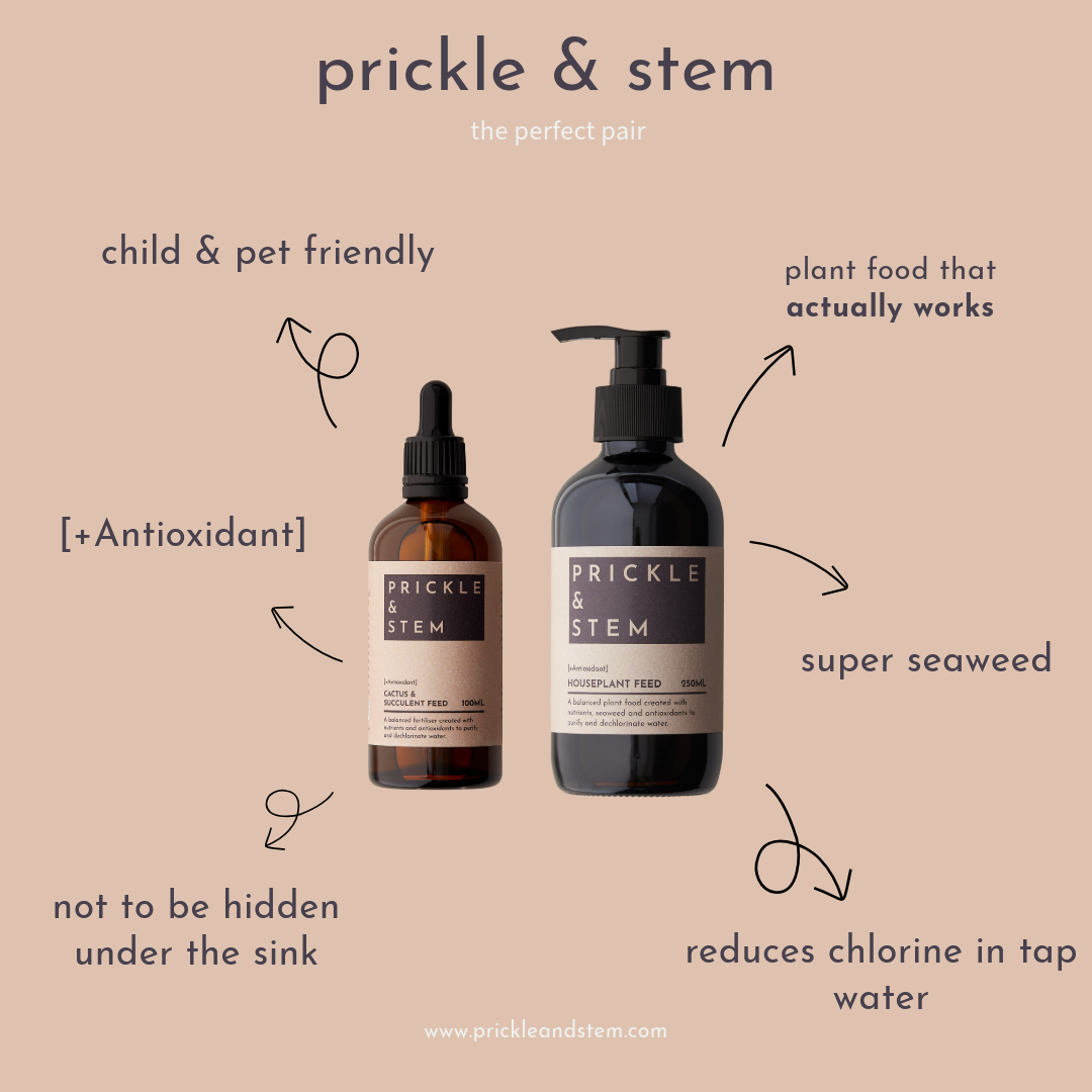 Prickle & Stem Plant Care Set