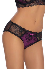Roza Fifi Lace Briefs Black