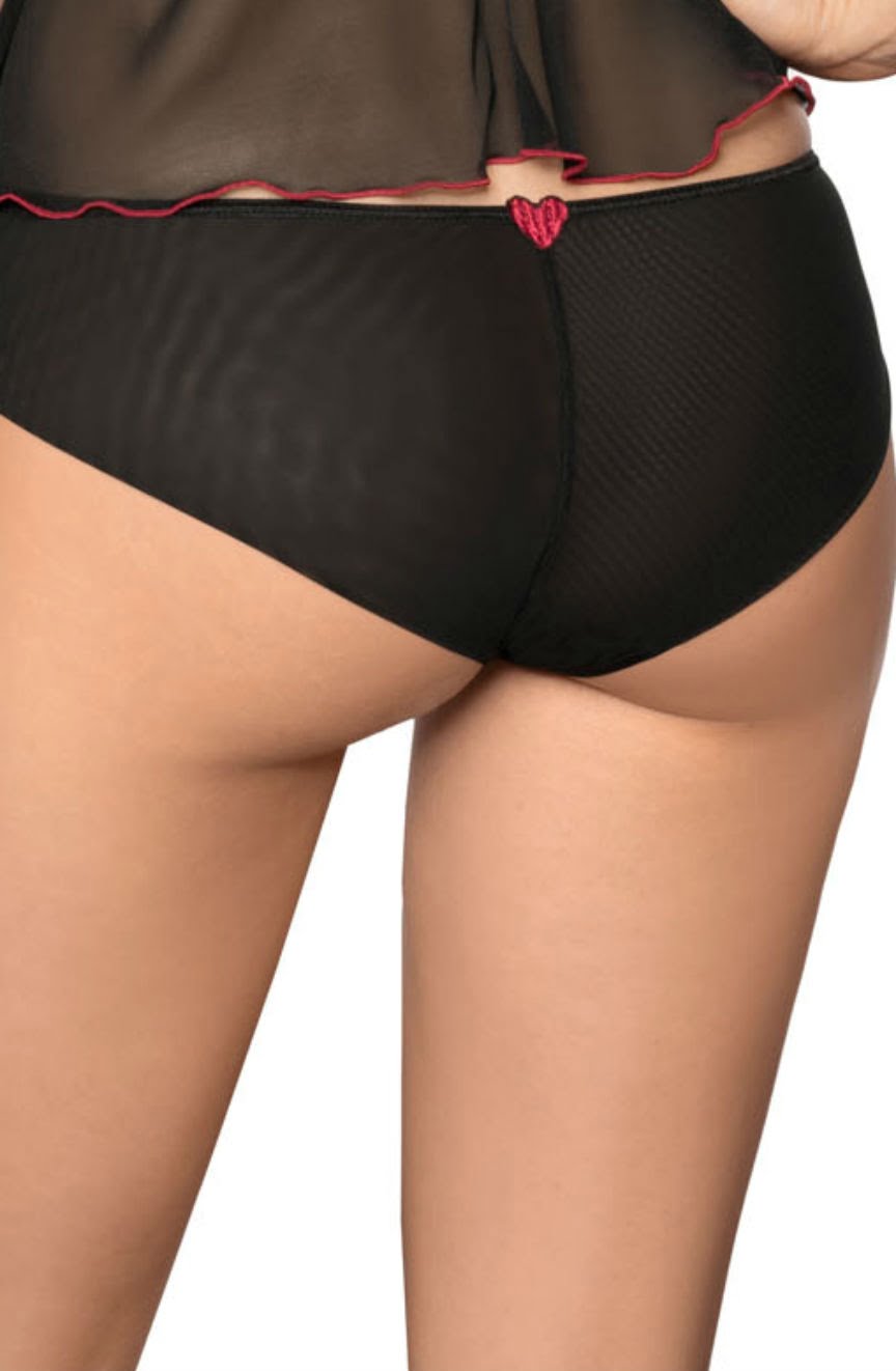 Roza Rubii Sheer Tulle Black & Red Heart Embroidered Briefs