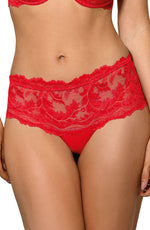 Roza Sefia Cut Out Lace Deep Brief Red