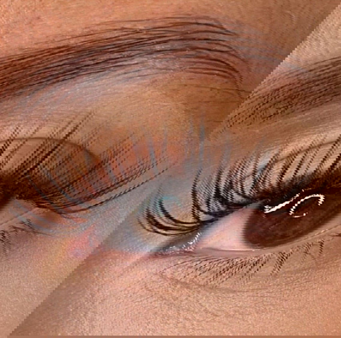 Shae - 'D' Curl Lash Ribbons®