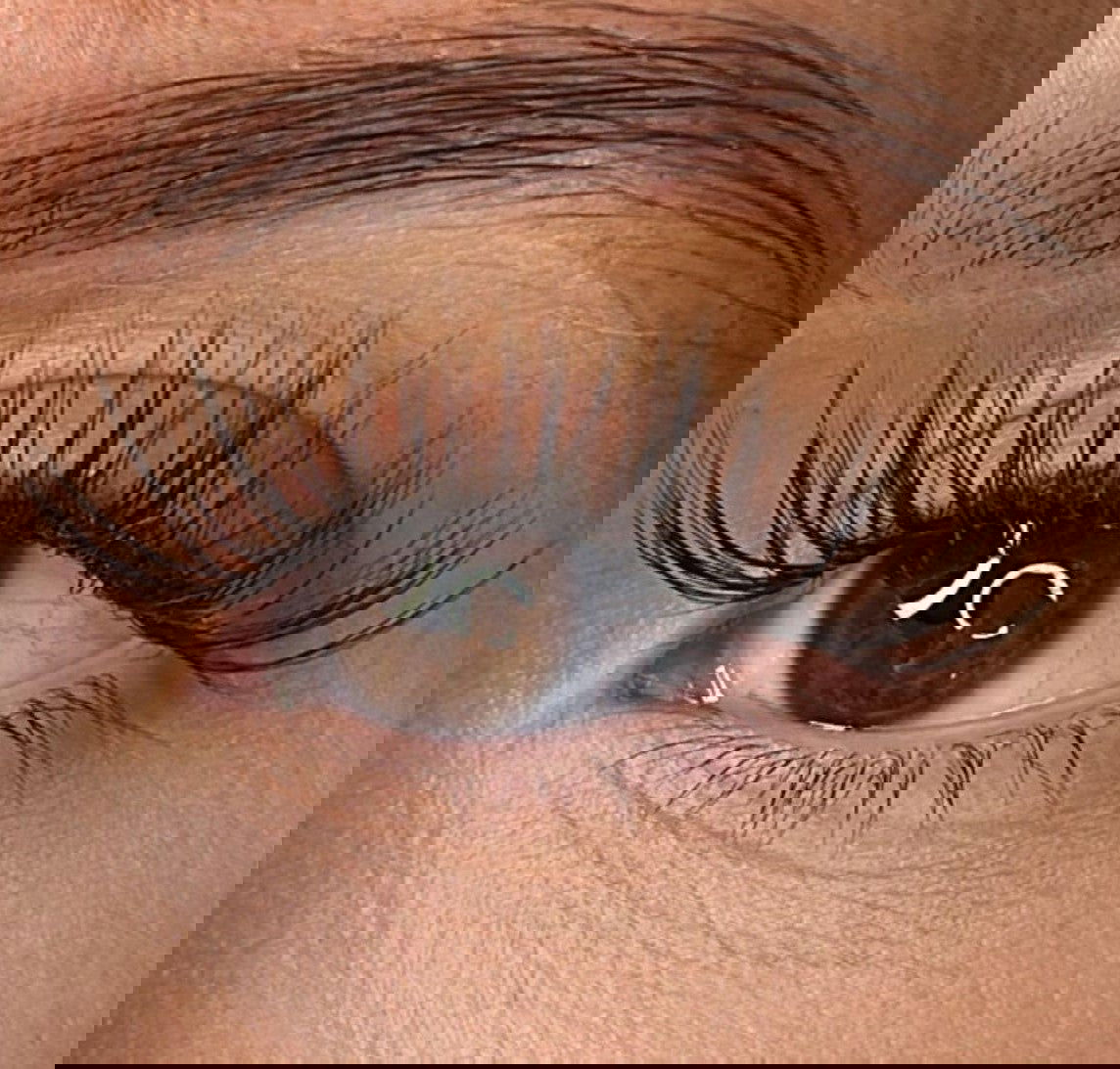 Shae - 'D' Curl Lash Ribbons®