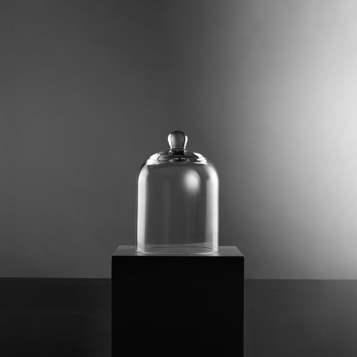 Small Vintage Glass Cloche Domes