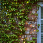 Solar LED Climbing Ivy Branch Light - ScentiMelti Home Fragrance, Beauty & Gifts UK