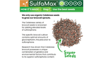 SulfaMax™ Organic Sulforaphane 1 Month Supply 60 Capsules