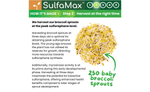 SulfaMax™ Organic Sulforaphane 1 Month Supply 60 Capsules