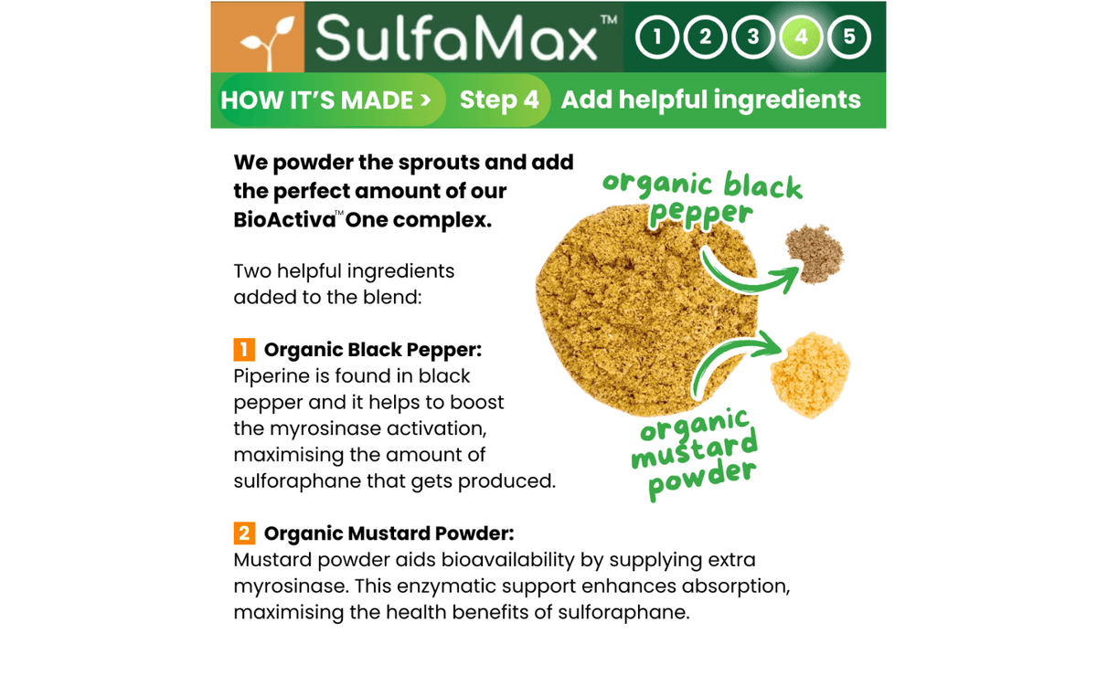 SulfaMax™ Organic Sulforaphane 1 Month Supply 60 Capsules