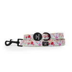 Ziggy's Secret Garden Design Dog Collar