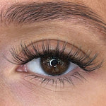 Zara - Weightless 'C' Curl Pre-Cut Lash Ribbons®