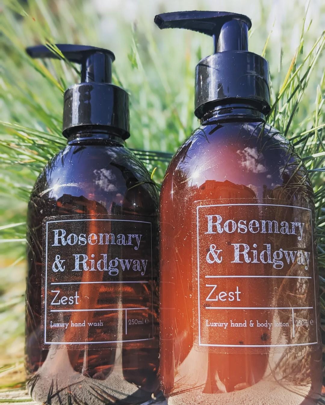 Zest Hand and Body Lotion Regular